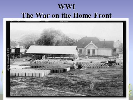 WWI The War on the Home Front. The Government During WWI, the Federal government dramatically increased its intervention in the Canadian economy and society.