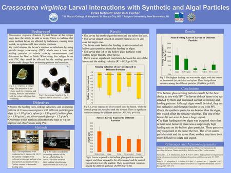 Crassostrea virginica Larval Interactions with Synthetic and Algal Particles Erika Schmitt 1 and Heidi Fuchs 2 1 St. Mary’s College of Maryland, St. Mary’s.