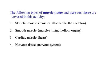 The following types of muscle tissue and nervous tissue are covered in this activity: 1.Skeletal muscle (muscles attached to the skeleton) 2.Smooth muscle.