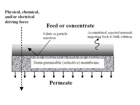 cc(x)cc(x) cp(x)cp(x) Feed (Q f, c f ) Permeate (Q p, c p,out ) Concentrate (Q c, c c,out ), Retentate, Rejectate.