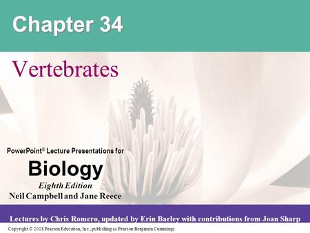 Chapter 34 Vertebrates.