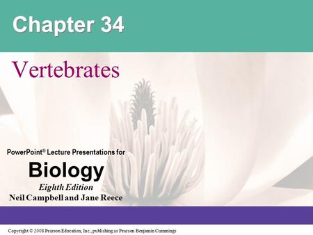 Chapter 34 Vertebrates.