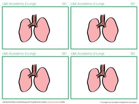 Activity from the Live & Kicking unit © upd8 wikid, built by cracking science 2009 This page may have been changed from the original L&K Academy 2 LungsSS1L&K.