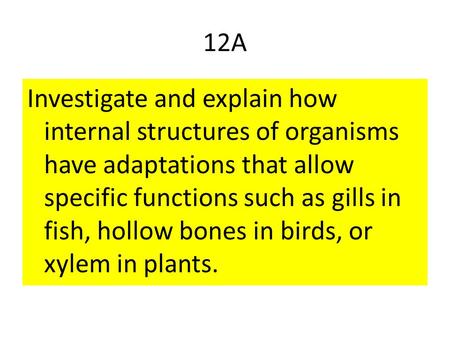 12A Investigate and explain how internal structures of organisms have adaptations that allow specific functions such as gills in fish, hollow bones in.