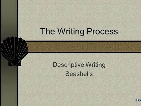 Descriptive Writing Seashells