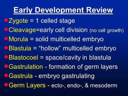 Early Development Review