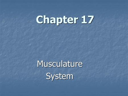 Chapter 17 Musculature System.