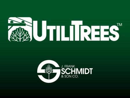 What are ? The perfect fit for under the wire! Small Stature Mature heights which rarely exceed 25 feet eliminate tree/wire conflicts.