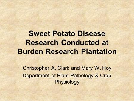 Sweet Potato Disease Research Conducted at Burden Research Plantation Christopher A. Clark and Mary W. Hoy Department of Plant Pathology & Crop Physiology.