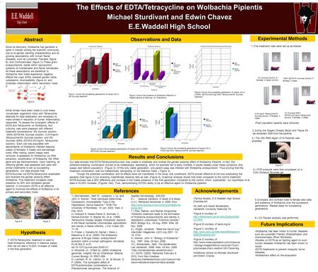 Abstract # 0000 The Effects of EDTA/Tetracycline on Wolbachia Pipientis Michael Sturdivant and Edwin Chavez E.E.Waddell High School The Effects of EDTA/Tetracycline.