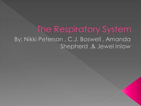  Breathing moves the chest to bring air into and remove waste from the lungs.  Cell respiration uses oxygen to release energy from glucose.