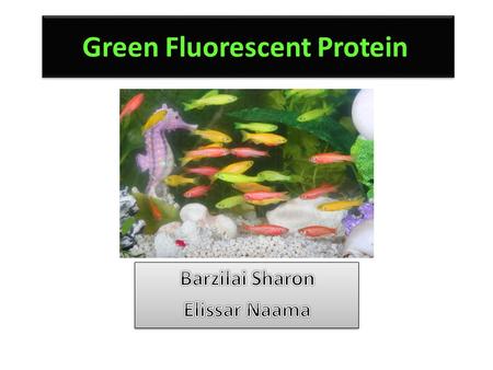 Green Fluorescent Protein