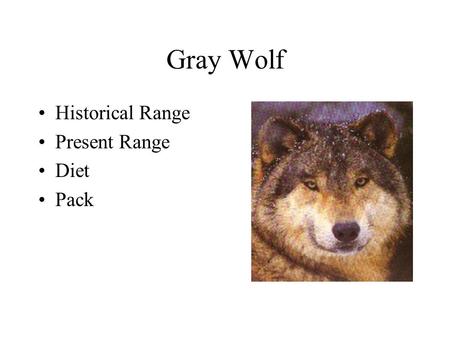 Gray Wolf Historical Range Present Range Diet Pack.