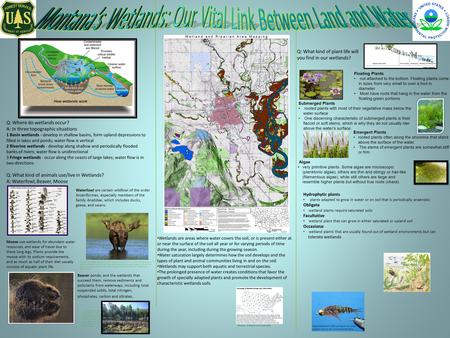 Wetlands are areas where water covers the soil, or is present either at or near the surface of the soil all year or for varying periods of time during.