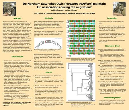 Do Northern Saw-whet Owls (Aegolius acadicus) maintain kin associations during fall migration? Caitlyn Stromko* and Karl Kleiner, York College of Pennsylvania,