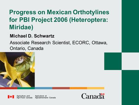 Progress on Mexican Orthotylines for PBI Project 2006 (Heteroptera: Miridae) Michael D. Schwartz Associate Research Scientist, ECORC, Ottawa, Ontario,