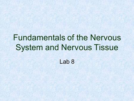 Fundamentals of the Nervous System and Nervous Tissue