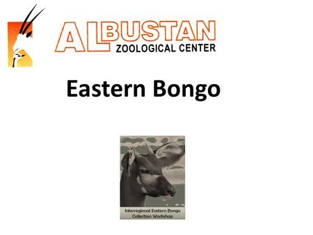 Eastern Bongo. Al Bustan background 17 ha Private collection in Sharjah, UAE First started in 1997 Wide range of animal species from marmosets to rhino.