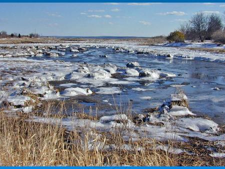 This 10 acre salt-water marsh is at the center of a unique Warwick neighborhood.