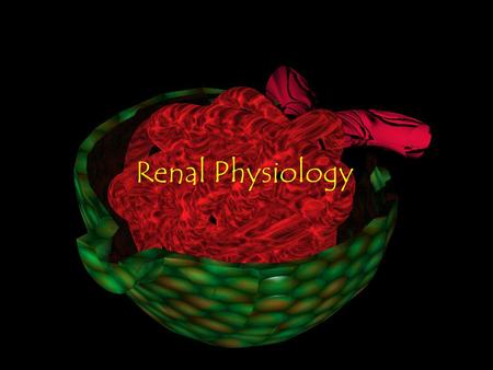 Renal Physiology.