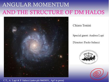 ANGULAR MOMENTUM AND THE STRUCTURE OF DM HALOS Chiara Tonini Special guest: Andrea Lapi Director: Paolo Salucci C.T., A. Lapi & P. Salucci (astro-ph/0603051,