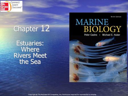 Chapter 12 Estuaries: Where Rivers Meet the Sea Copyright © The McGraw-Hill Companies, Inc. Permission required for reproduction or display.