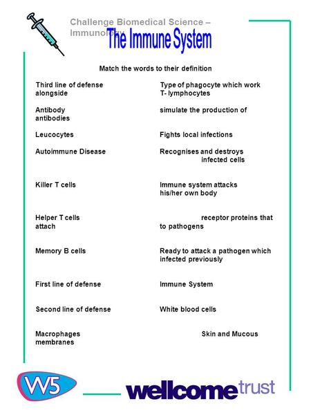 Match the words to their definition Third line of defense Type of phagocyte which work alongside T- lymphocytes Antibodysimulate the production of antibodies.