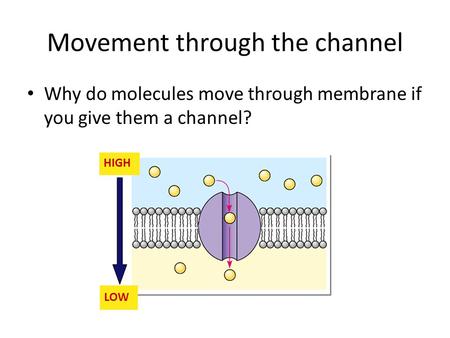 Movement through the channel