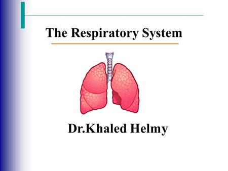 The Respiratory System