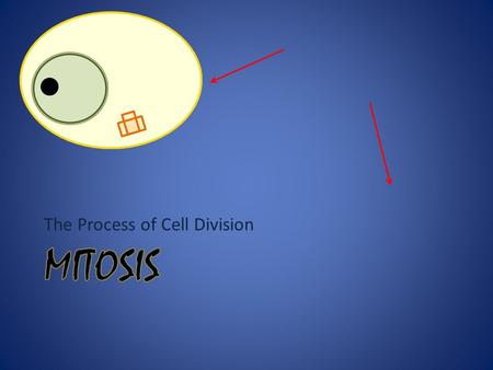 The Process of Cell Division Tetrad Centromere Kinetocore Sister Chromatid Chromosome Homologous Chromosome.