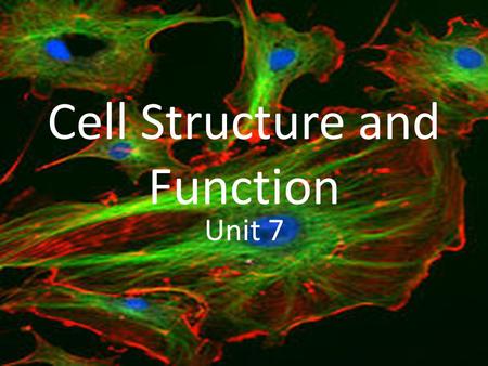 Cell Structure and Function