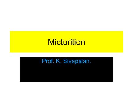 Micturition Prof. K. Sivapalan.. Ureters. Collecting ducts open into the renal pelvis which goes down as ureters. The walls contain smooth muscles. Regular.