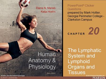 20 The Lymphatic System and Lymphoid Organs and Tissues.