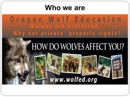 Who we are. Oregon wolf count: 77 minimum Rural Joseph.