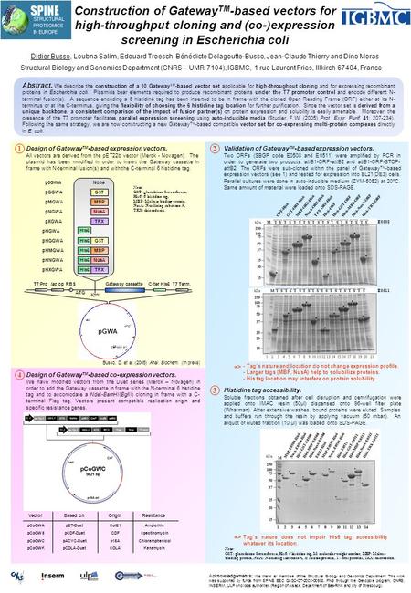 Construction of Gateway TM -based vectors for high-throughput cloning and (co-)expression screening in Escherichia coli Didier Busso, Loubna Salim, Edouard.