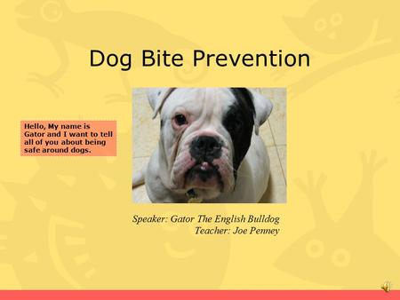 Dog Bite Prevention Speaker: Gator The English Bulldog Teacher: Joe Penney Hello, My name is Gator and I want to tell all of you about being safe around.