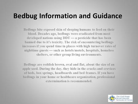 Bedbug Information and Guidance