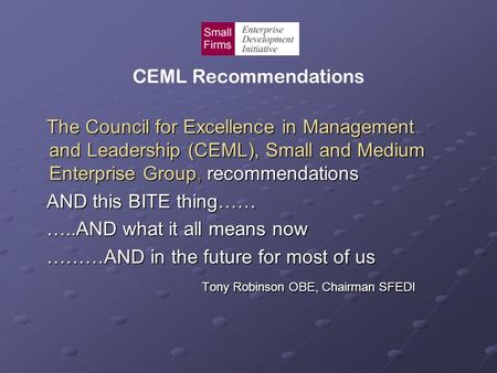 CEML Recommendations The Council for Excellence in Management and Leadership (CEML), Small and Medium Enterprise Group, recommendations The Council for.