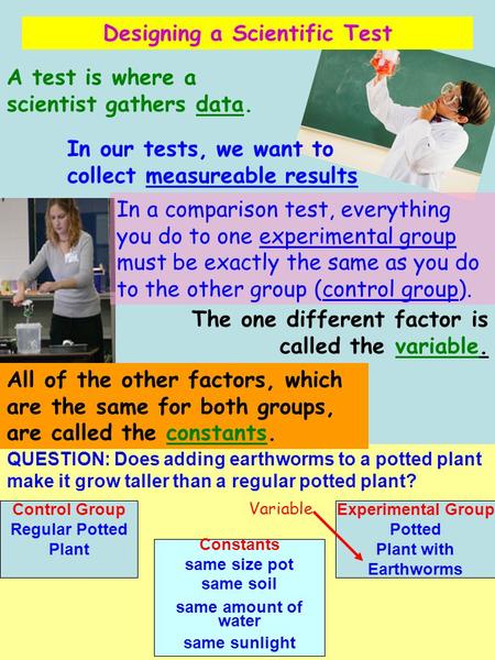 Designing a Scientific Test A test is where a scientist gathers data. In a comparison test, everything you do to one experimental group must be exactly.