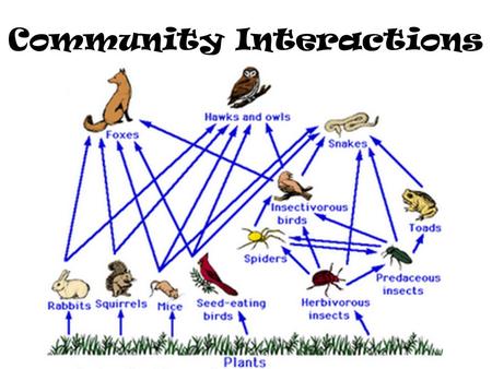 Community Interactions Community: Many species interacting in the same environment Three types of interactions: – Competition – Predation – Symbiosis.