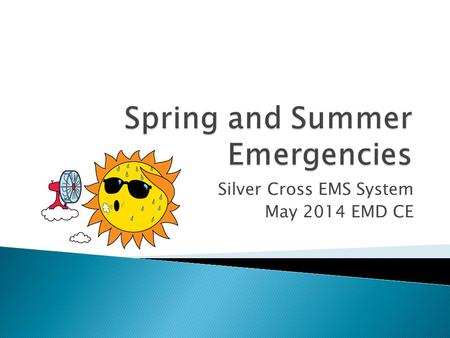 Spring and Summer Emergencies