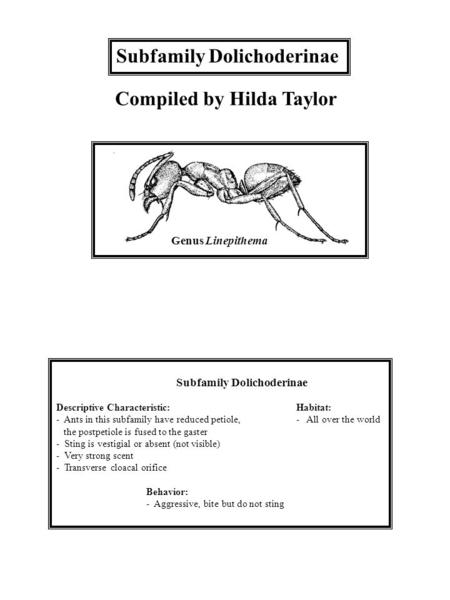 Subfamily Dolichoderinae Descriptive Characteristic:Habitat: - Ants in this subfamily have reduced petiole,- All over the world the postpetiole is fused.