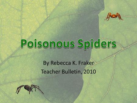 By Rebecca K. Fraker Teacher Bulletin, 2010. Are daddy long legs the deadliest spider? No, that is a myth! This myth may have been started because daddy.