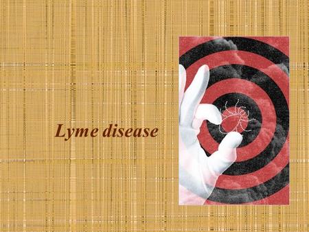 Lyme disease. Borrelia Borrelia burgdorferi sensu stricto Borrelia garinii Borrelia afzelii.