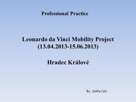 Leonardo da Vinci Mobility Project (13.04.2013-15.06.2013) Hradec Králové By: Zsófia Csik Professional Practice.