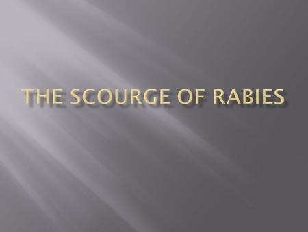 When Calpurnia sees the dog walking lopsided down the street, she immediately knows what is wrong with him– he has rabies. Rabies is a terrible disease,