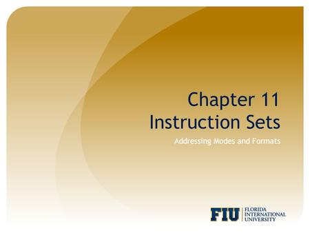 Chapter 11 Instruction Sets