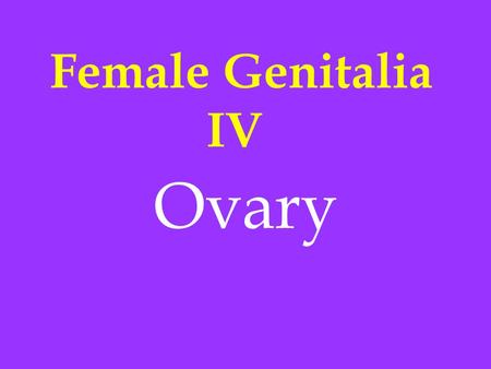 Female Genitalia IV Ovary. l Inflammation l Non-neoplastic cysts l Neoplasms.