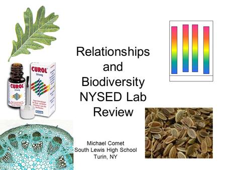 Relationships and Biodiversity NYSED Lab Review