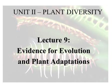 UNIT II – PLANT DIVERSITY